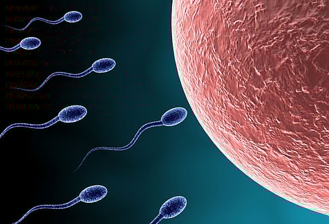 குழந்தை பிறப்பை கட்டுப்படுத்த ஆண்களுக்கான புதிய மருந்து கண்டுபிடிப்பு