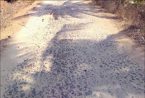 மொடக்குறிச்சி அருகே 15 ஆண்டுகளாக போடப்படாத தார் ரோடு: அதிகாரிகள் நடவடிக்கை எடுக்க பொதுமக்கள் வேண்டுகோள்