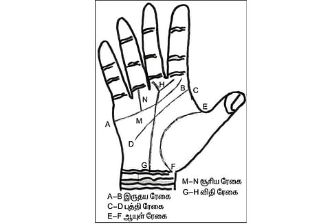 கைரேகை அற்புதங்கள் : தொழிலில் ஏற்றமும் மாற்றமும்