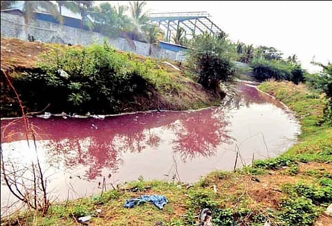 தொழிற்சாலைகளில் இருந்து வெளியேறி ஏரியில் கலக்கும் ரசாயன கழிவுநீர்