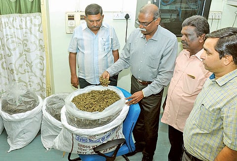 தூத்துக்குடி வழியாக இலங்கைக்கு 104 கிலோ கஞ்சா கடத்த முயன்ற 2 பேர் கைது அதிகாரிகள் நடவடிக்கை