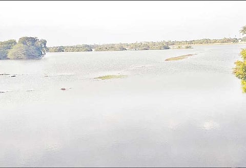 வடுவூர் ஏரிக்கு தொடர்ந்து தண்ணீர் வருவதால் விவசாயிகள் மகிழ்ச்சி