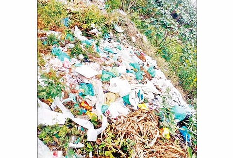 வாய்மேட்டில் சாலையோரத்தில் கொட்டப்பட்டுள்ள காலாவதியான மருந்து, மாத்திரைகளால் சுகாதார சீர்கேடு