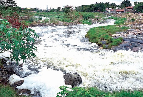 நொய்யல் ஆற்றில் நுரையுடன் சென்ற சாயக்கழிவுநீர் - நடவடிக்கை எடுக்க சமூக ஆர்வலர்கள் கோரிக்கை