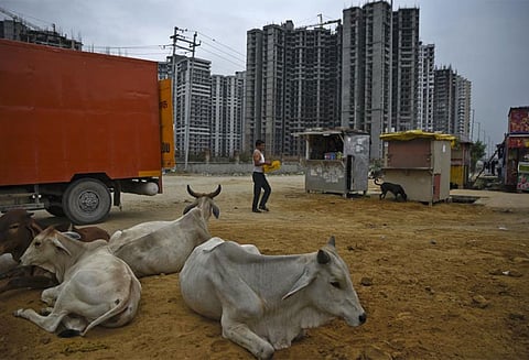 பசு திருட வந்ததாக கருதி கும்பல் தாக்குதலில் ஒருவர் பலி - 3 பேர் படுகாயம்