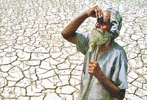 கடைமடையை அடையாத காவிரி நீர் - காரணம் யார்?