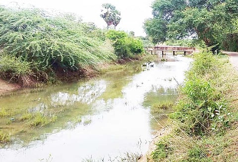 காவிரியில் வெள்ளம் கரை புரண்டு ஓடியும் கடைமடை பாசன பகுதிகளுக்கு தண்ணீர் வரத்து குறைந்தது