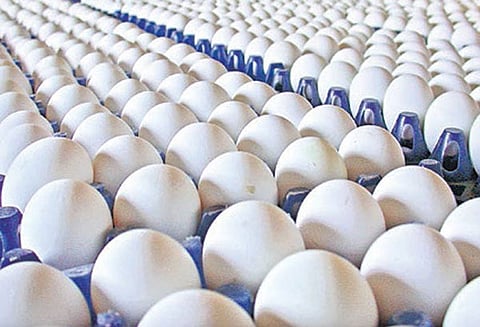 சத்துணவு முட்டை டெண்டர் முறையில் மாற்றம் தமிழகம் 6 மண்டலங்களாக பிரிக்கப்பட்டது