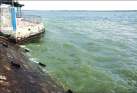 வீராணம் ஏரியில் இருந்து பாசனத்துக்காக இன்று தண்ணீர் திறப்பு