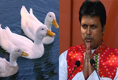 நீர் நிலைகளில் நீந்தும் வாத்துகளால் பிராண வாயு அளவு அதிகரிக்கும்; திரிபுரா முதல் மந்திரி