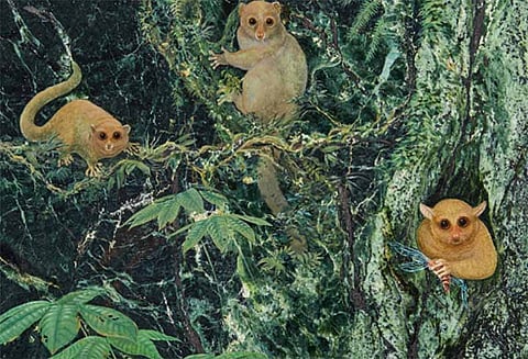 புதிய புராதன உயர் விலங்கினங்கள் மூன்றை விஞ்ஞானிகள் கண்டறிந்து உள்ளனர்