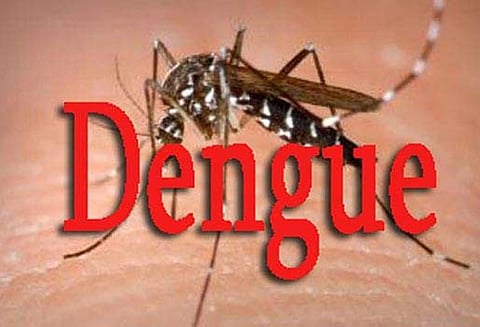 எண்ணூரில் டெங்கு காய்ச்சலுக்கு இளம்பெண் பலி