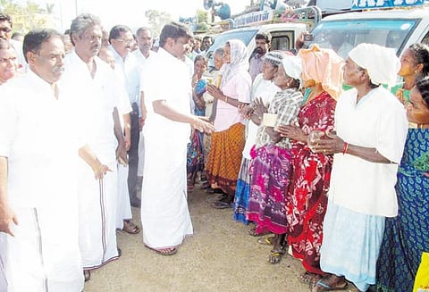 சாலையோரங்களில் உள்ள மரங்களை வெட்டினால் நடவடிக்கை அமைச்சர் விஜயபாஸ்கர் எச்சரிக்கை