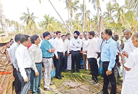 முத்துப்பேட்டையில் புயலால் பாதிக்கப்பட்ட பகுதிகளில் வேளாண் தொழில்நுட்பக்குழுவினர் ஆய்வு