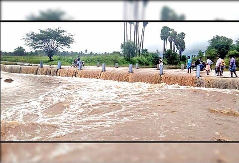 பழனியில் பலத்த மழை: நல்லதங்காள் ஓடையில் வெள்ளப்பெருக்கு