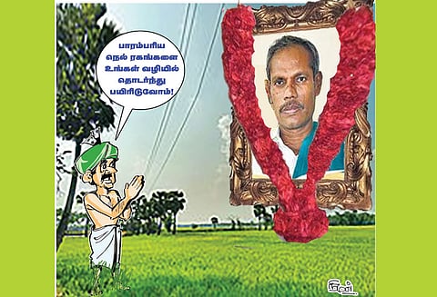 பாரம்பரிய நெல் விதைகள்