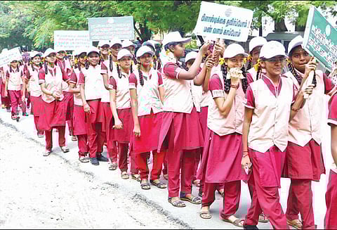 பிளாஸ்டிக் பயன்பாட்டை தவிர்த்து இயற்கை வளத்தை பாதுகாக்க வேண்டும் - விழிப்புணர்வு ஊர்வலத்தை தொடங்கி வைத்து கலெக்டர் பேச்சு