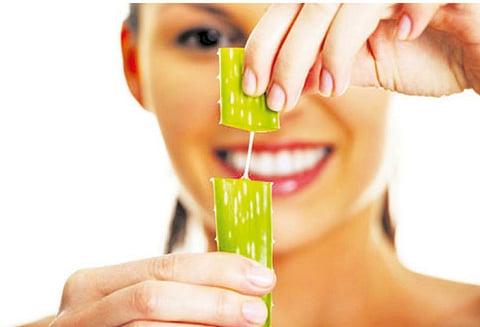 கண்ணுக்கு கற்றாழை