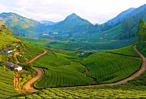 குடிப்பவர்களுக்கு அனுமதி; குடியிருப்போருக்கு மறுப்பு- வனத்துறை கெடுபிடியால் கிராம மக்கள் பரிதவிப்பு