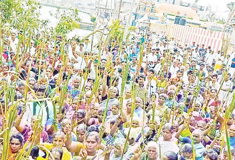 கஜா புயலால் அழிந்த தென்னை மரங்களுக்கு 30-ம் நாள் நினைவு பேரணி பட்டுக்கோட்டையில் நடந்தது