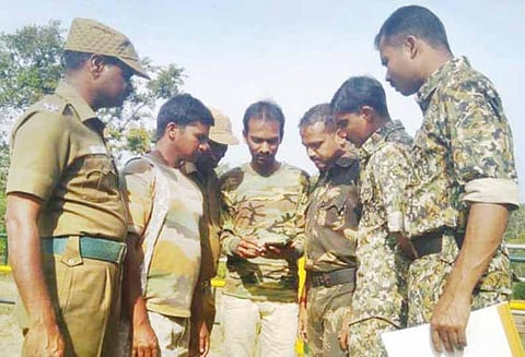 முதுமலையில் வனவிலங்குகள் கணக்கெடுப்பு தொடக்கம்