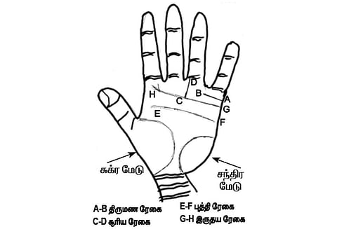 கைரேகை அற்புதங்கள் : தீர்க்க சுமங்கலி யோகம்