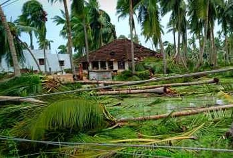 தஞ்சை மாவட்டத்தில் கஜா புயலால் 338 அரசு பள்ளி, அங்கன்வாடி, ஊராட்சி அலுவலக கட்டிடம் சேதம் - சீரமைக்க, அரசுக்கு பரிந்துரை