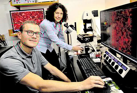 கட்டளைக்கு ஏற்ப பாக்டீரியாக்களை கொல்லும் வைரஸ்