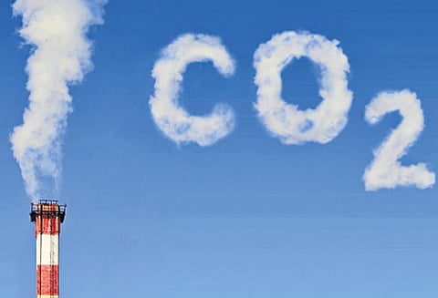 நச்சு வாயுவை உறிஞ்சும் பவுடர்