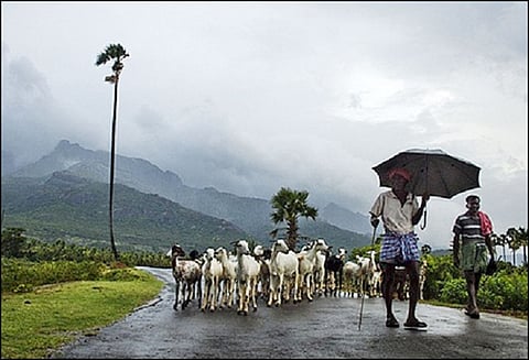 குமரி கடலில் காற்றழுத்த தாழ்வு நிலை: தென் மாவட்டங்களில் ஓரிரு இடங்களில் மழை பெய்யும் வானிலை ஆய்வு மையம் தகவல்