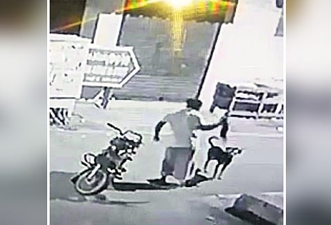 மணலியில் நாய் குட்டியை தரையில் வீசி துன்புறுத்திய வியாபாரி கைது சமூக வலைத்தளத்தில் வீடியோ வெளியானது