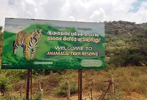 புத்தாண்டையொட்டி பட்டாசு வெடிக்க தடை ஆனைமலை புலிகள் காப்பகம் 2 நாட்கள் மூடப்படுகிறது - வனத்துறை அதிகாரிகள் தகவல்