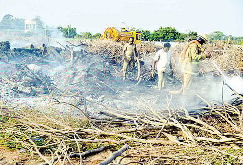 தஞ்சை மாநகராட்சி மைதானத்தில் மரக்கிளைகள் தீயில் எரிந்து சாம்பல்