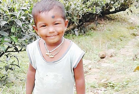 வால்பாறையில் 4 வயது சிறுவனை சிறுத்தைப்புலி கவ்விச்சென்று கடித்து கொன்றது