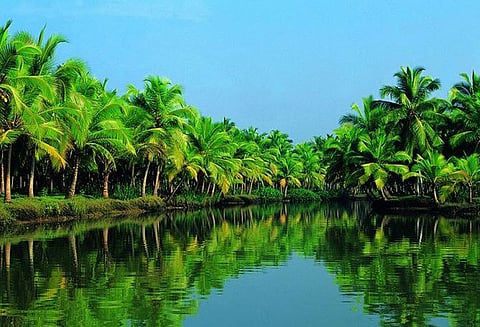 உடல் ஆரோக்கியத்தில் கேரளா முதல் இடம் தமிழ்நாட்டுக்கு 3–வது இடம்