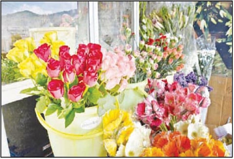 காதலர் தினத்தையொட்டி ஊட்டியில் ரோஜா பூக்கள் விலை உயர்வு