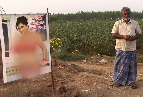 ஆந்திராவில் பயிர்களை திருஷ்டியில் இருந்து பாதுகாக்கும் சன்னி லியோன்! பயனளிக்கிறது - விவசாயி