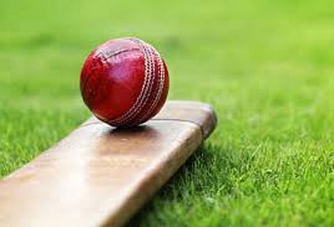 தென்ஆப்பிரிக்காவுக்கு எதிரான பெண்கள் 20 ஓவர் கிரிக்கெட்டில் இந்தியா வெற்றி மிதாலி, மந்தனா அரைசதம் அடித்தனர்