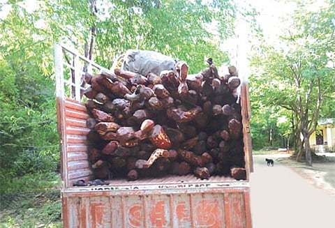 திருப்பதி அருகே செம்மரக்கடத்தல்; 5 தமிழர்கள் கைது