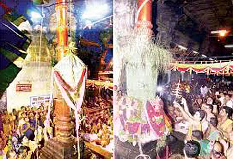 திருச்செந்தூர் சுப்பிரமணிய சுவாமி கோவிலில் மாசி திருவிழா