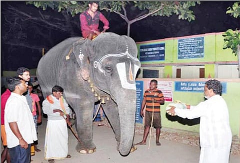 தேக்கம்பட்டி புத்துணர்வு முகாமிலிருந்து அருணாசலேஸ்வரர், படவேடு கோவில் யானைகள் திரும்பின