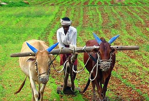 பிரதம மந்திரி பயிர் காப்பீட்டு திட்டத்தில் பதிவு செய்ய அழைப்பு