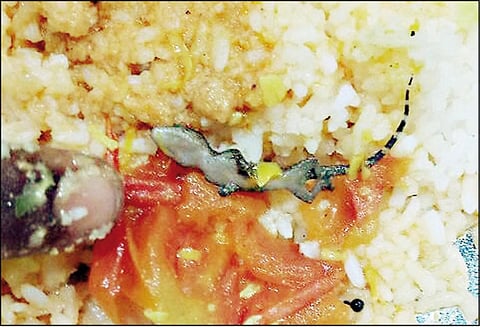 பல்லி விழுந்த உணவை சாப்பிட்ட 10-ம் வகுப்பு மாணவர் பலி