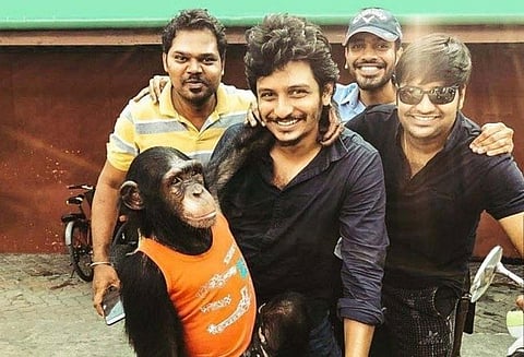 கொரில்லா