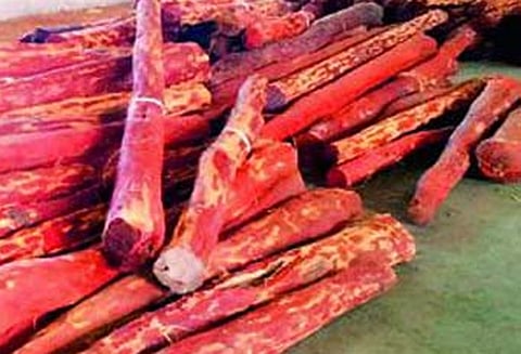 ஆந்திராவில் செம்மர கட்டைகள் கடத்தலில் ஈடுபட்ட 4 தமிழர்கள் கைது