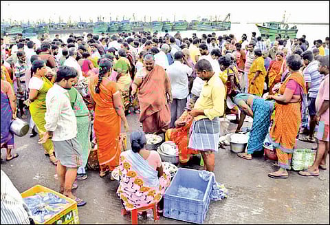 காசிமேடு மீன்பிடி துறைமுகத்தில் மீன்கள் விலை உயர்வு பொதுமக்கள் ஏமாற்றம்