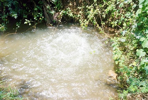 தவுட்டுப்பாளையத்தில் குழாயில் உடைப்பு ஏற்பட்டு வீணாகும் குடிநீர்