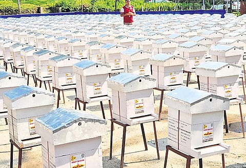 இனிப்பான உலக சாதனை