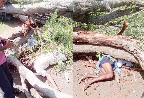 பலத்த சூறைக்காற்று: மோட்டார் சைக்கிளில் சென்றவர்கள் மீது மரம் சாய்ந்து விழுந்ததில் 2 பேர் பலி