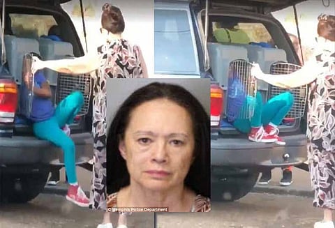 பேரக்குழந்தைகளை நாய்க்கூண்டில் அடைத்து வைத்த பாட்டி